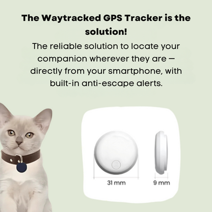 Waytracked GPS Tracker for Cats | No Subscription | Real-Time Tracking (Android / iOS)