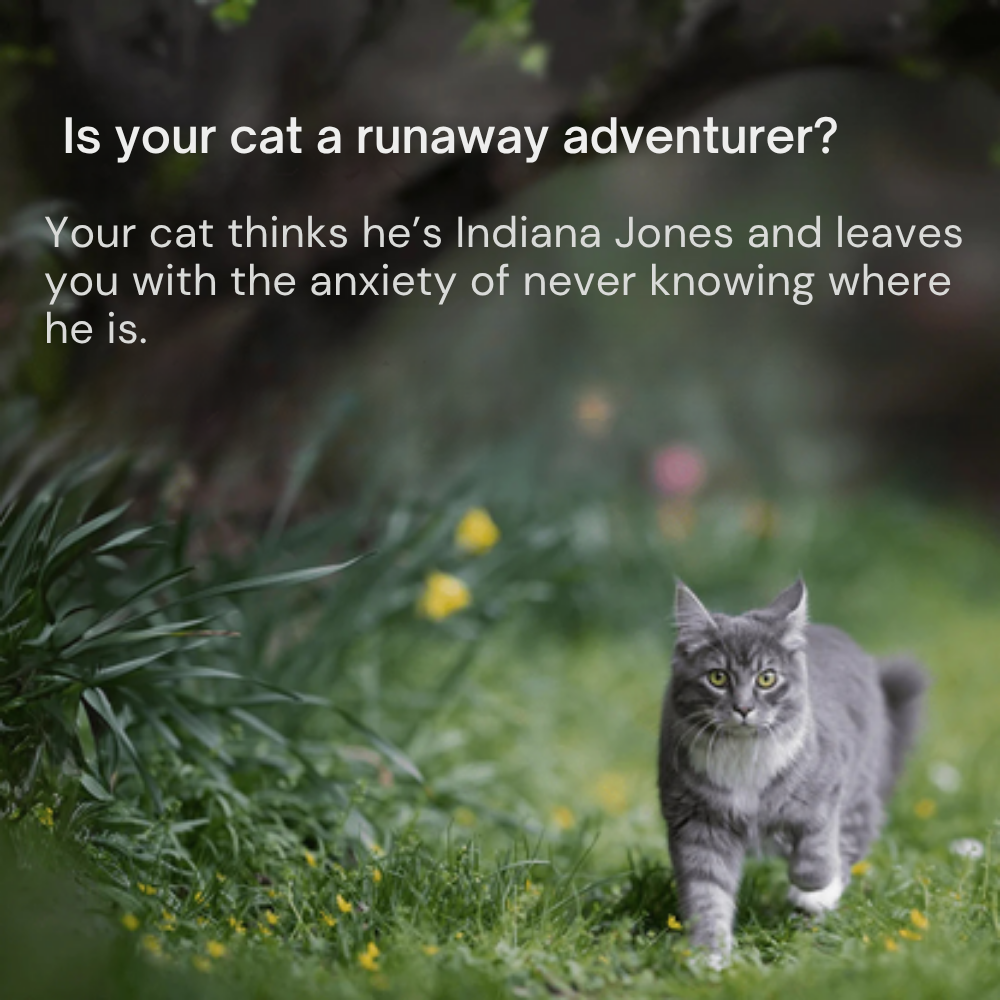 Waytracked GPS Tracker for Cats | No Subscription | Real-Time Tracking (Android / iOS)