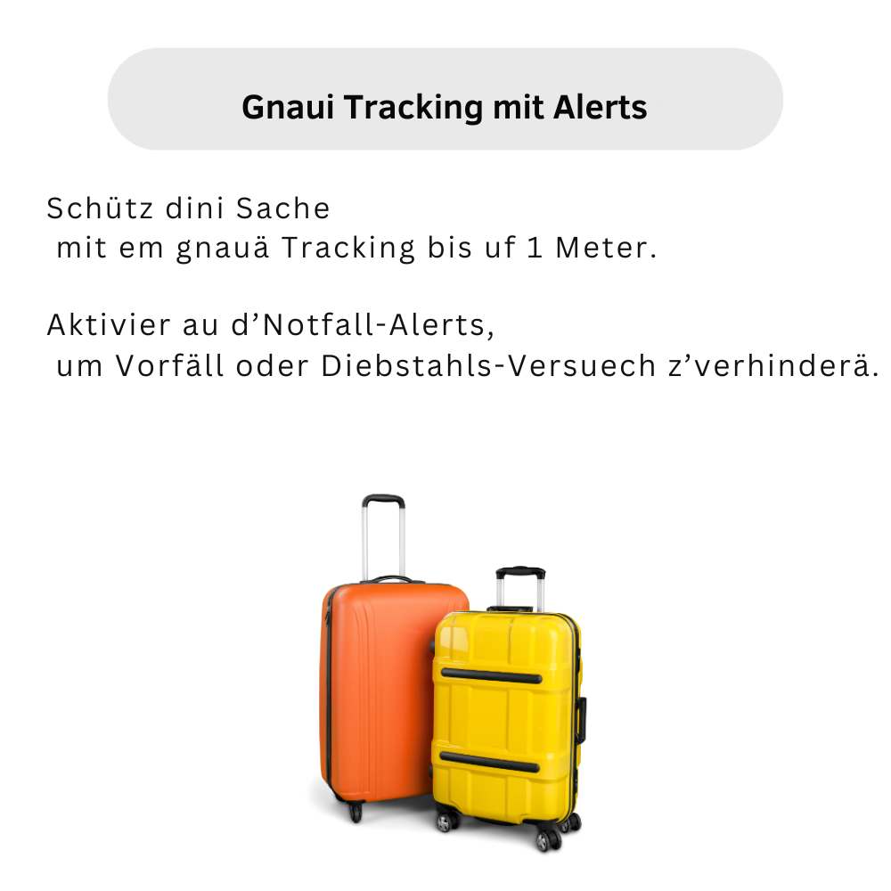 GPS Luggage Tracker – No Subscription | Real-Time Tracking for Travel