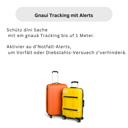 GPS Luggage Tracker – No Subscription | Real-Time Tracking for Travel