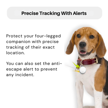 GPS Dog Tracker – No Subscription | Real-Time Location for Android & iOS