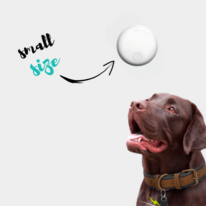 GPS Dog Tracker – No Subscription | Real-Time Location for Android & iOS